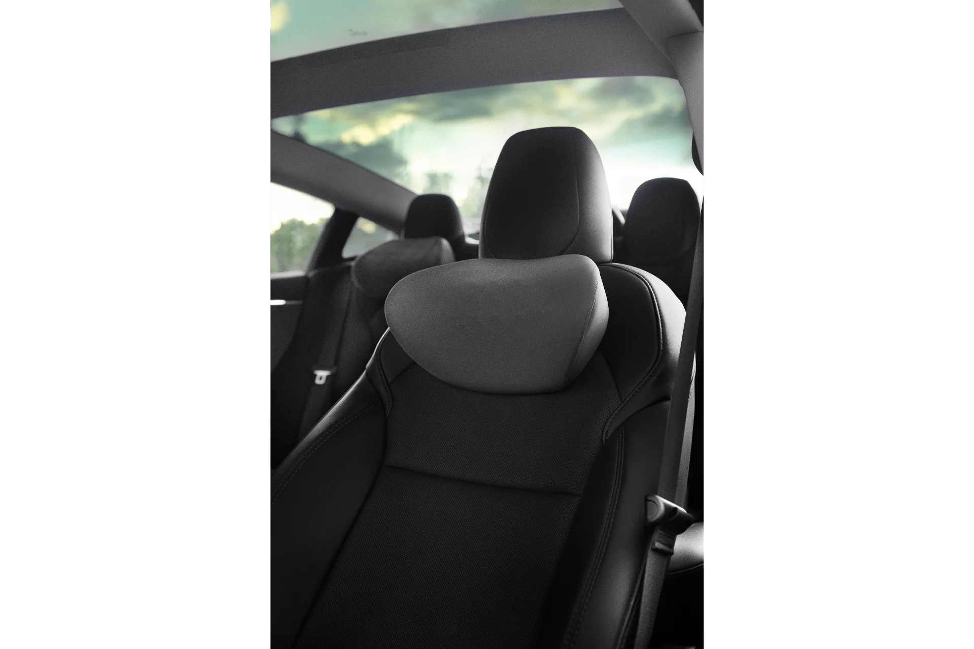 Jowua Tesla Neck Pillow (Set of Two)